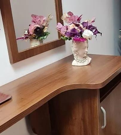 Casa Dfg 科斯蒂内什蒂