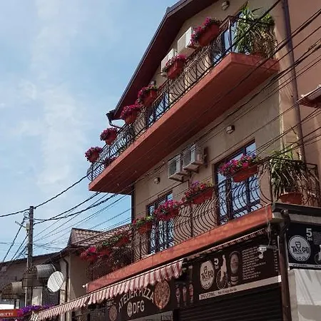 Casa Dfg 招待所 科斯蒂内什蒂